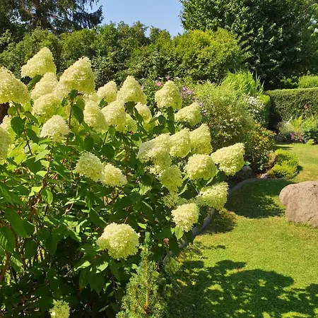 Apartamento Veit Essen